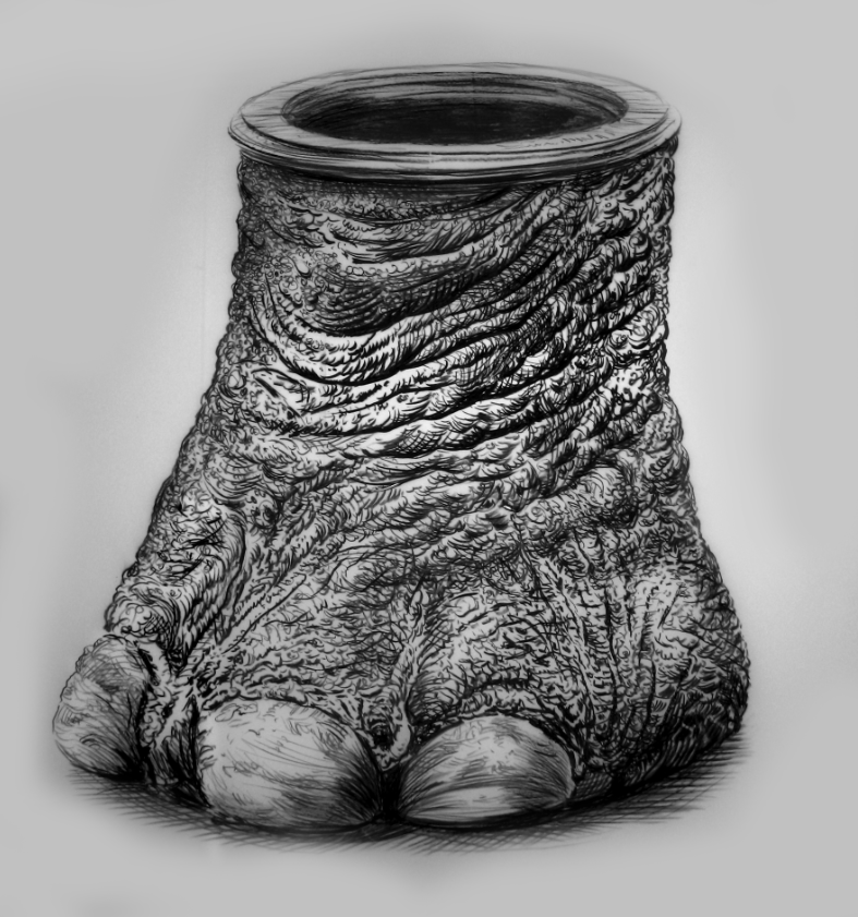 ELEPHANT FEET Rick Shaefer